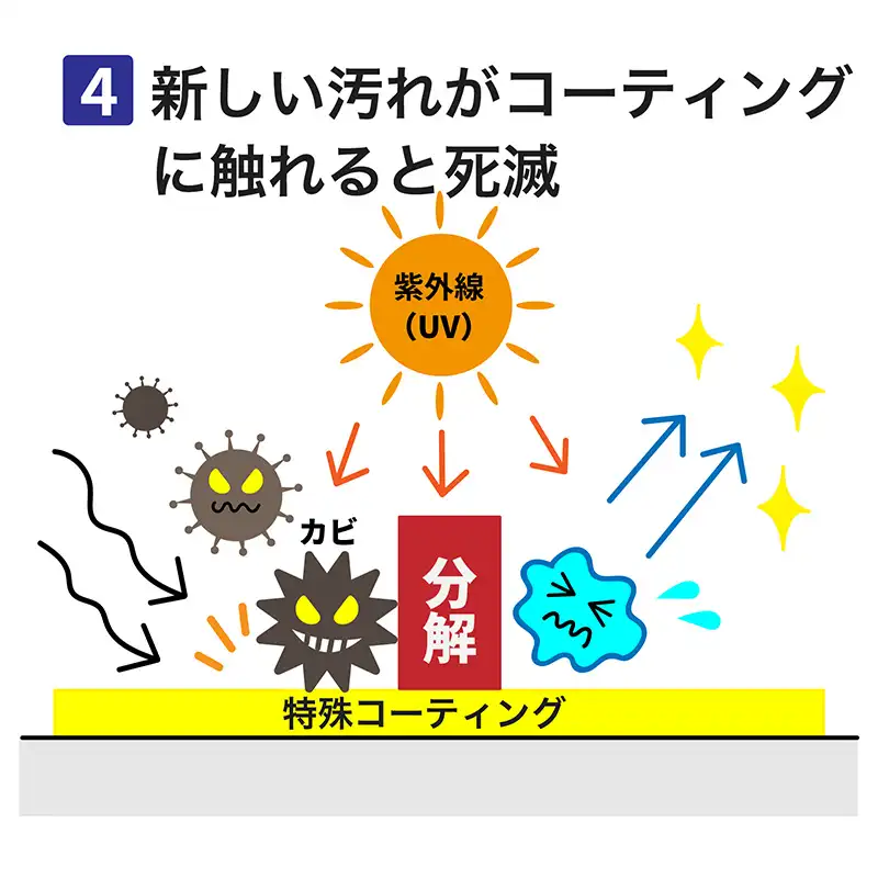 新しい汚れがコーティングに触れると死滅